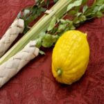 Sukkot