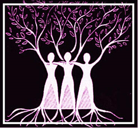 sisterhood logo