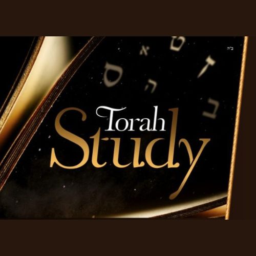 Guest Teacher at Torah Study