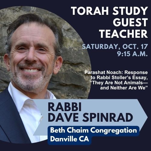 Torah Study with guest teacher Rabbi Dave Spinrad, Beth Chaim Congregation, Danville CA